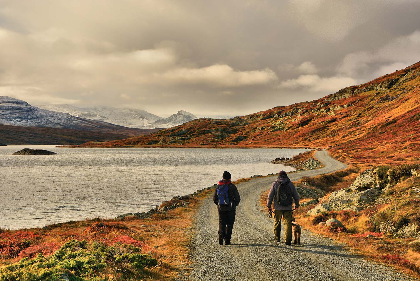 Frigg Hiking In Jotunheimen Foap VisitNorway Afbeelding van Frigg Hiking In Jotunheimen Foap VisitNorway