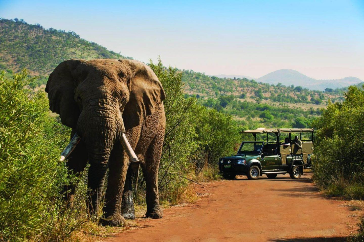 Bakubung Bush Lodge - Pilanesberg