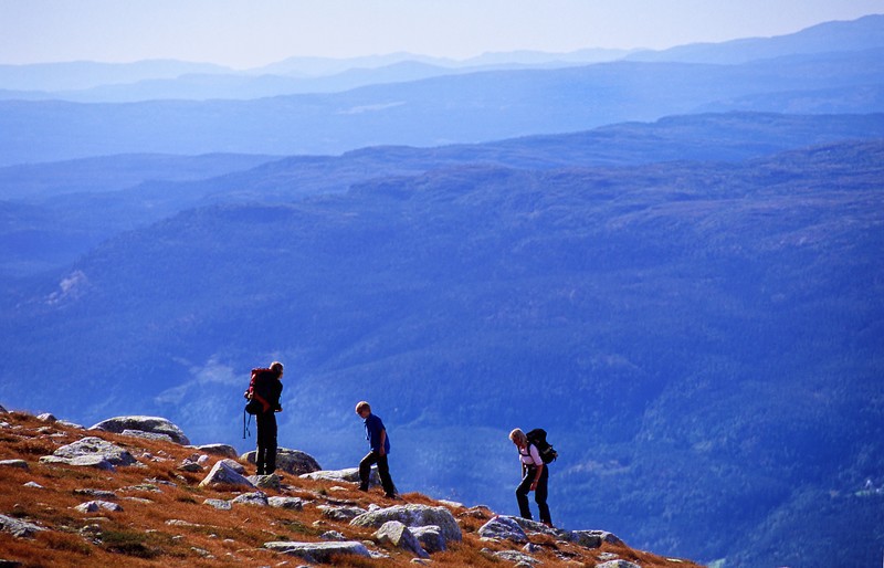 Afbeelding van Gegidste Wandeling Anders Gjengedal 3 Buskerud Norefjell 70573 800