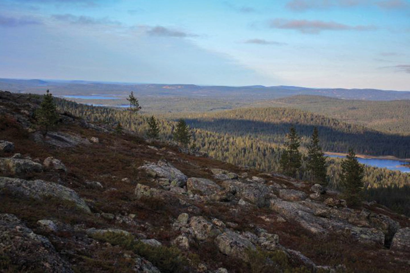 Afbeelding van Gegidste Wandeling Inari Lapland Wilderness Hotels