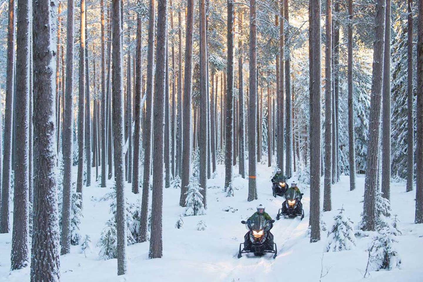 Afbeelding van Grano Beckasin Sneeuwscootertocht 2