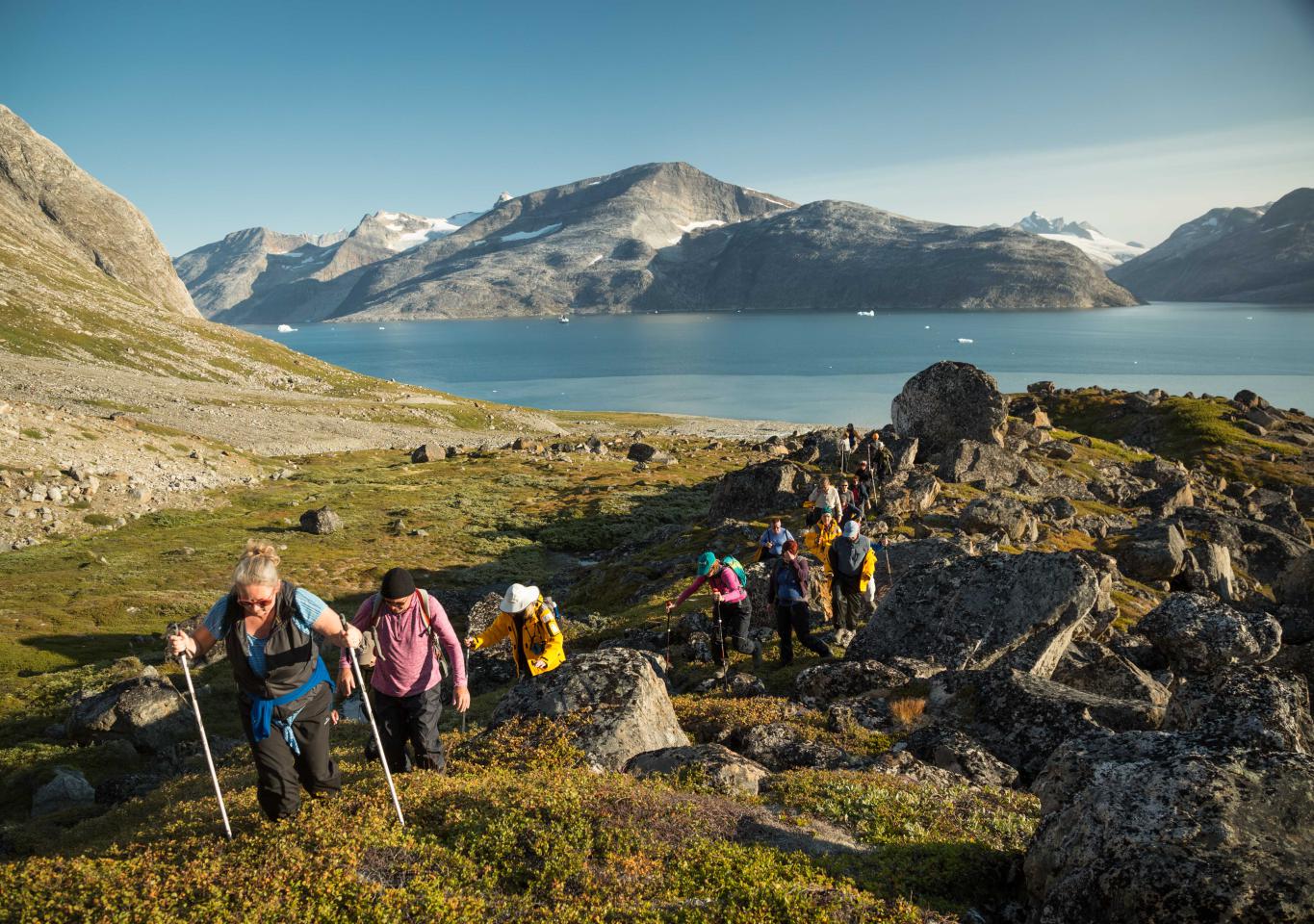 Afbeelding van Groenland Ijsland Noorderlicht Zien Quark Expeditions Under The Northern Lights Lindenow Fjord East Greenland Acaciajohnson 2