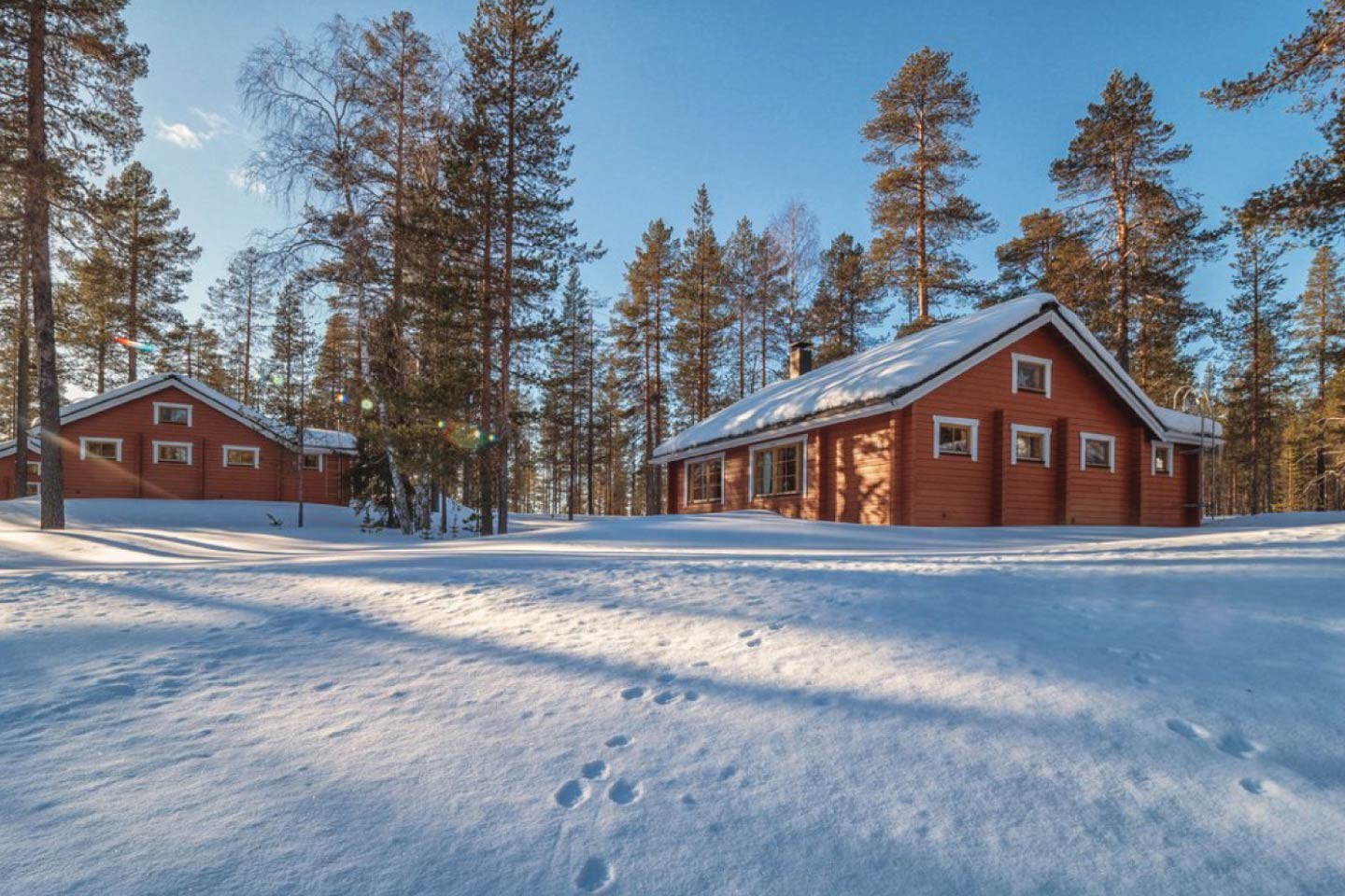 Afbeelding van Harriniva Hut Cape Tracks