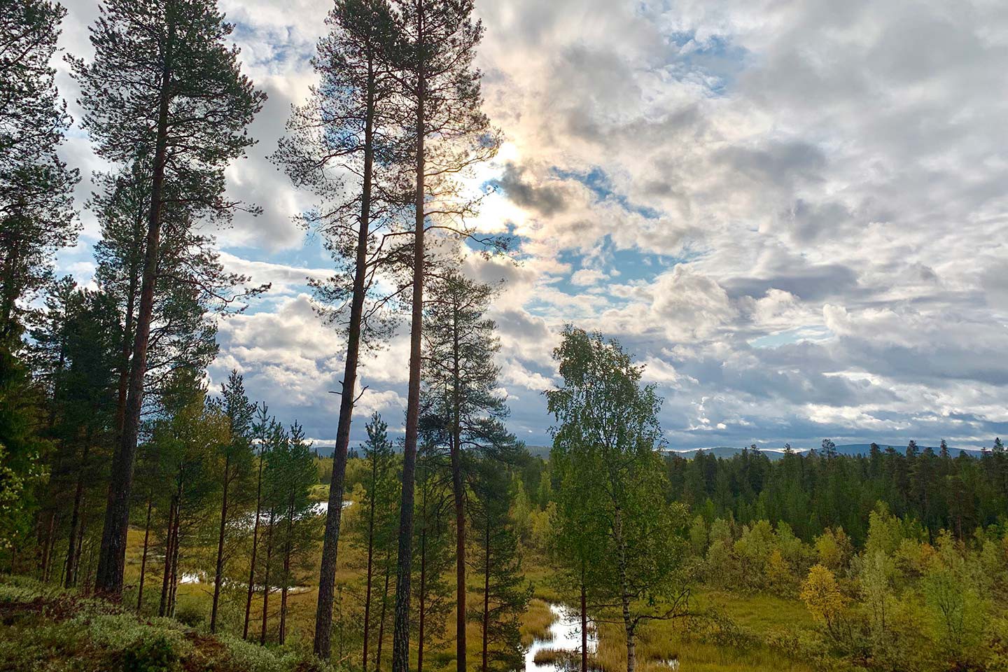 Afbeelding van Herfstreizen Finland Esther Baas 1