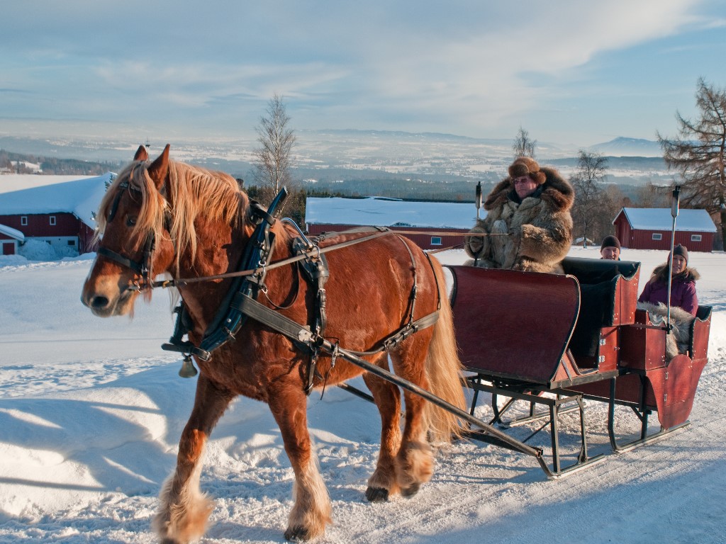 Afbeelding van Highlights Noorwegen Hamar CH Visitnorway