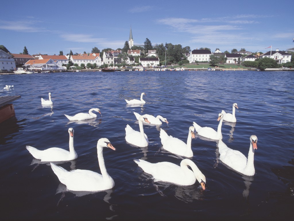 Afbeelding van Highlights Noorwegen Lillesand Frithjof Fure Visitnorway