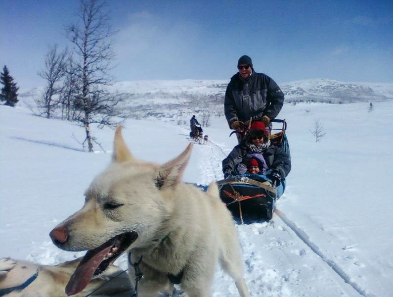 Afbeelding van Hondensledetocht Beitostolen Husky