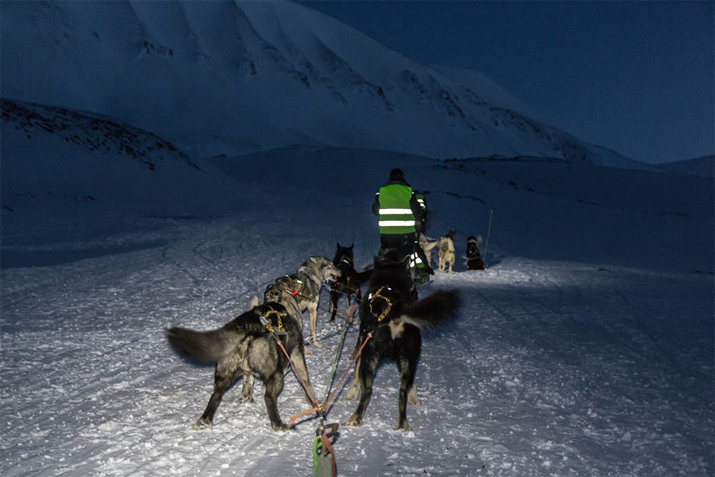 Hondensledetocht Spitsbergen