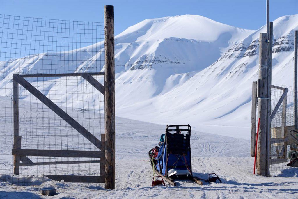 Hondensledetocht Spitsbergen