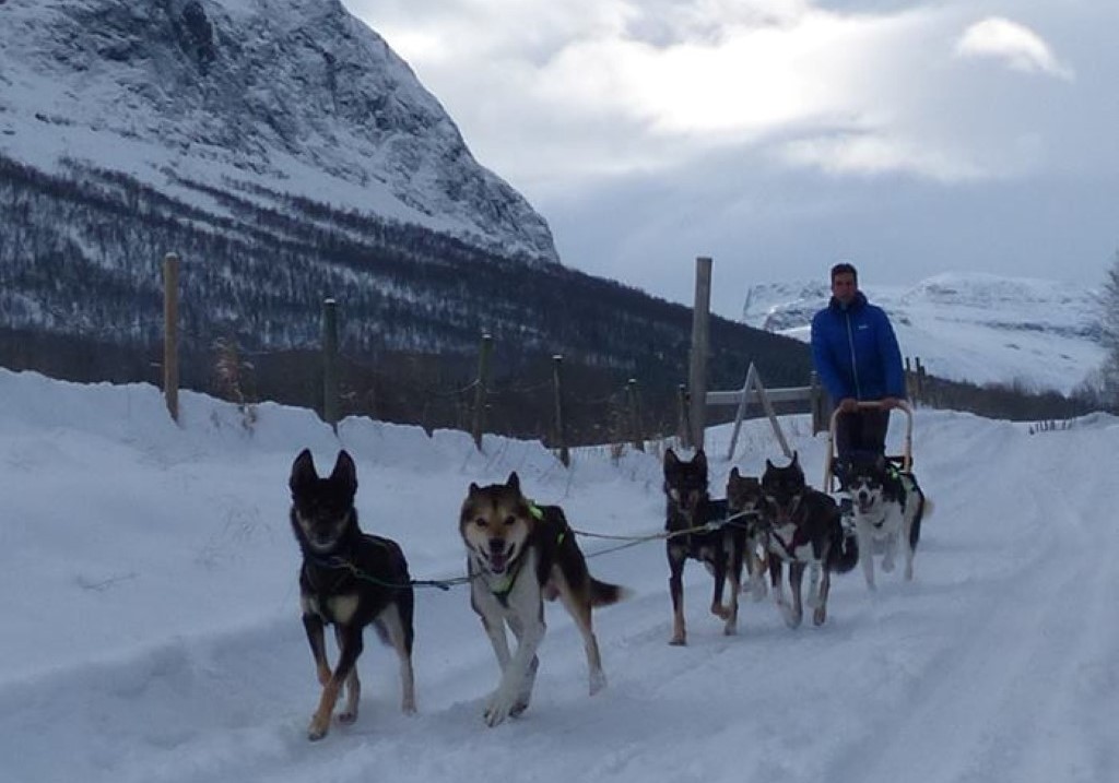 Afbeelding van Hondensledetocht Vang I Valdres