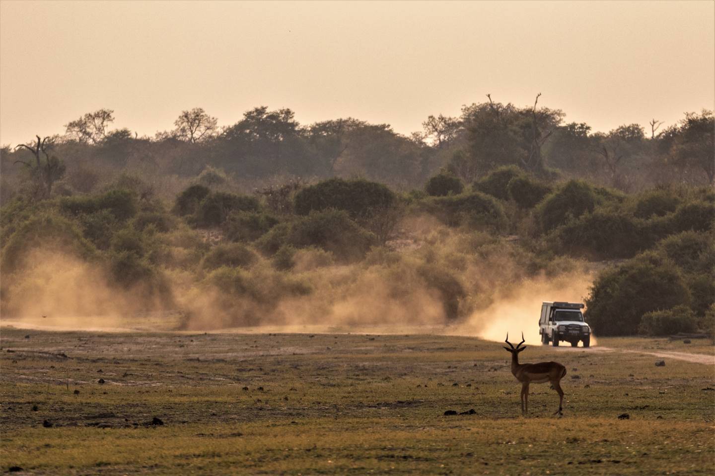 Chobe Nationaal Park