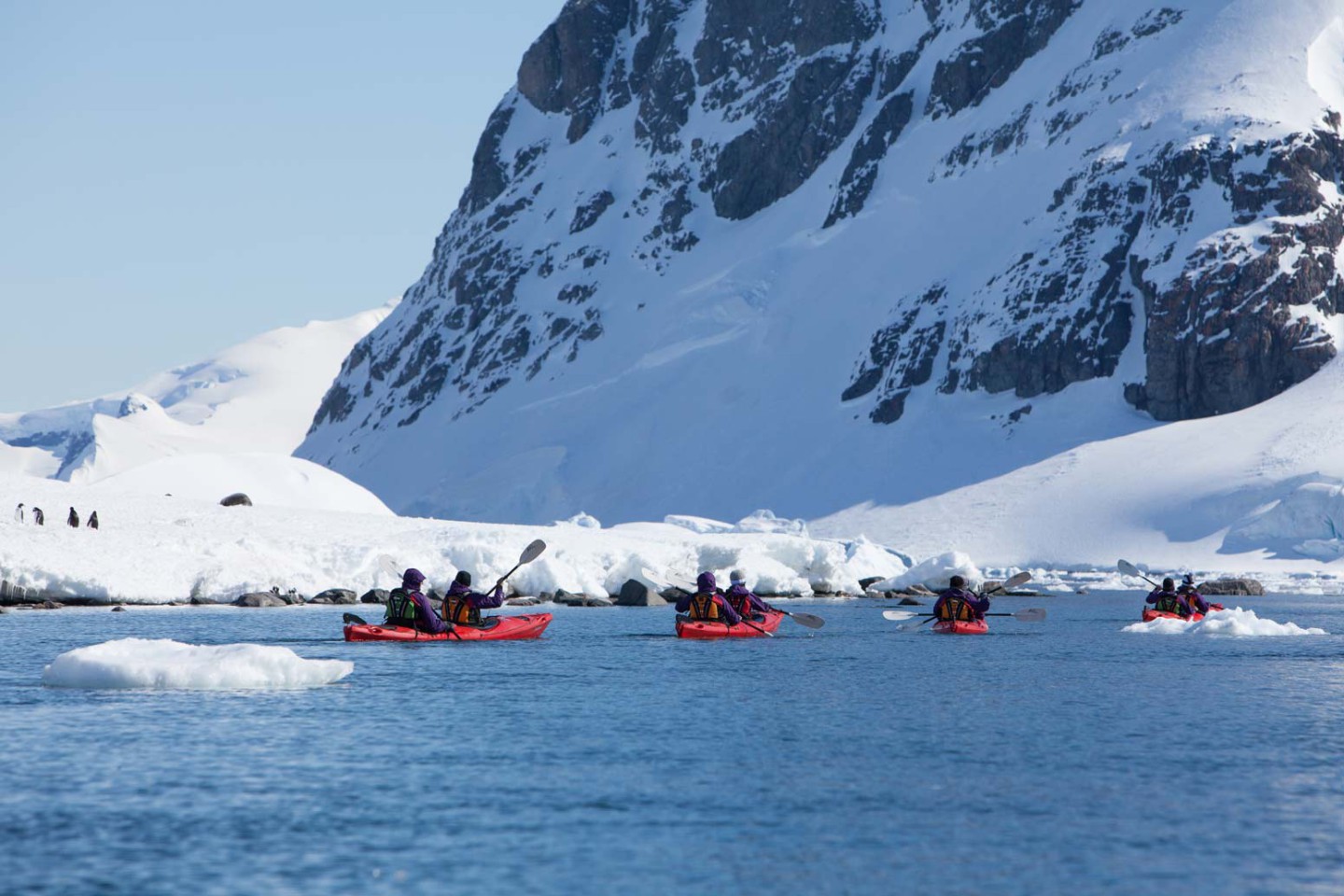 Kajakken Antarctica