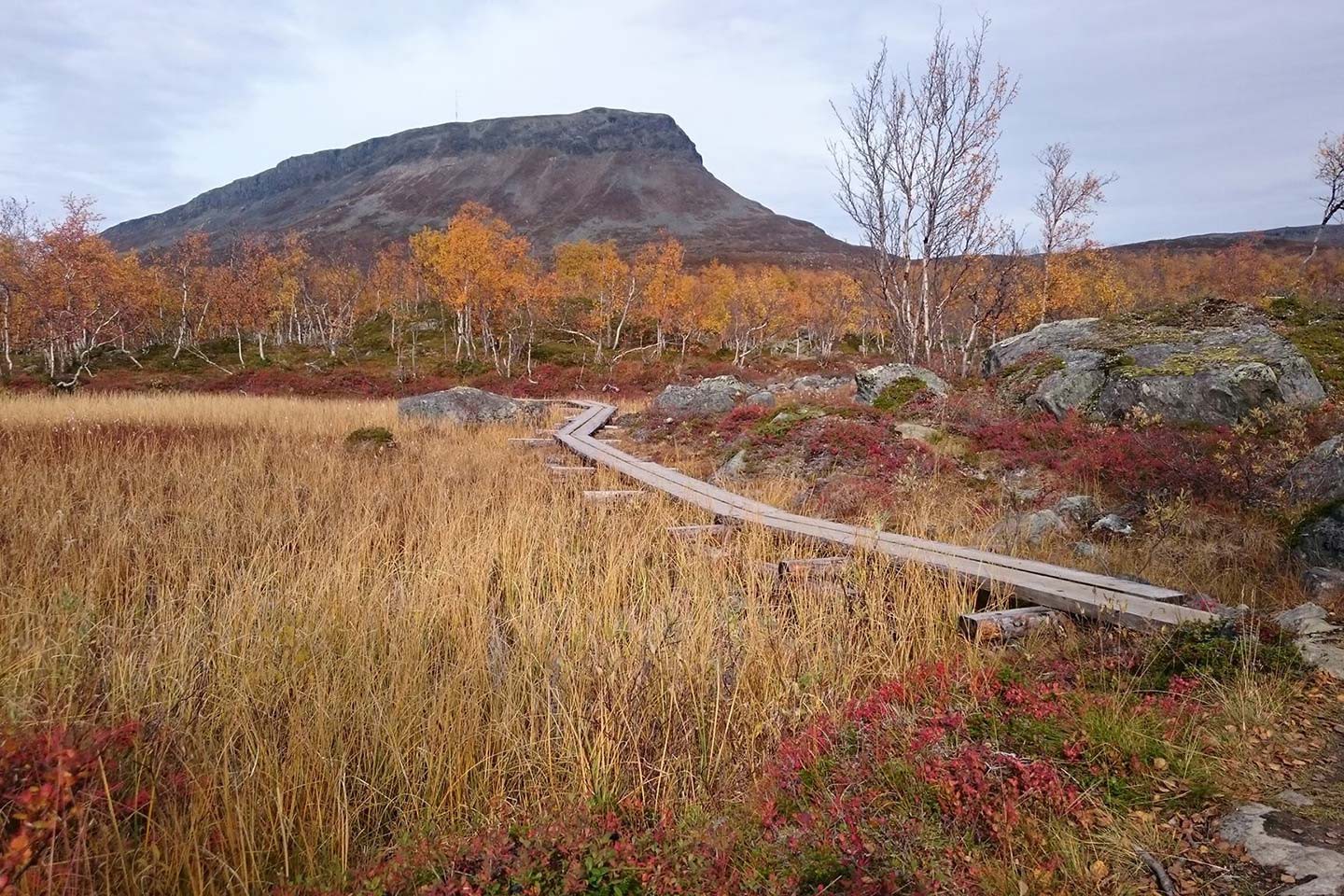 Kilpisjärvi, Tundrea Holiday Resort