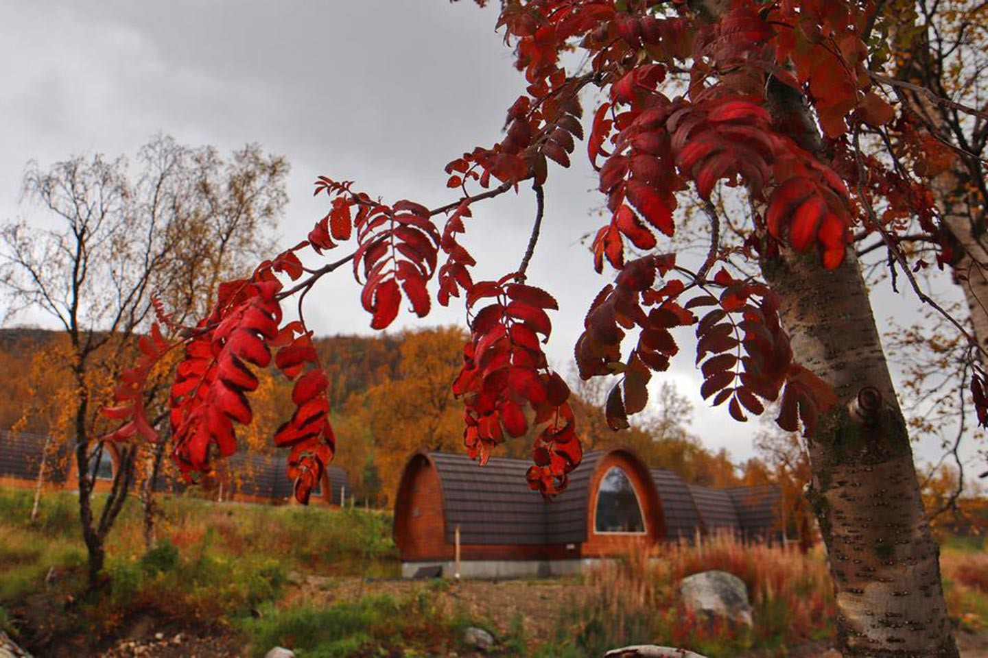 Kirkenes, Sneeuwhotel Gamme Cabin