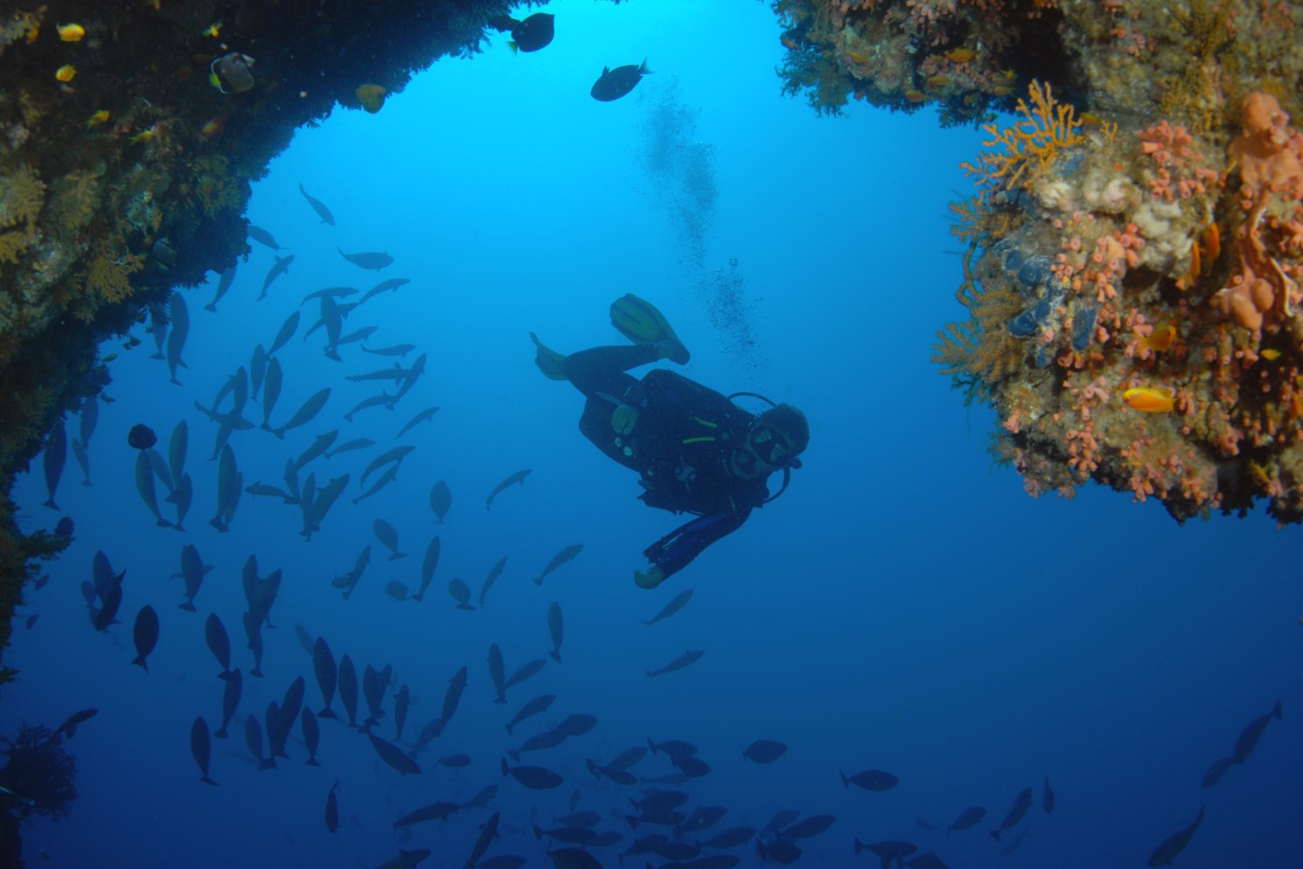 Duiken in Mozambique