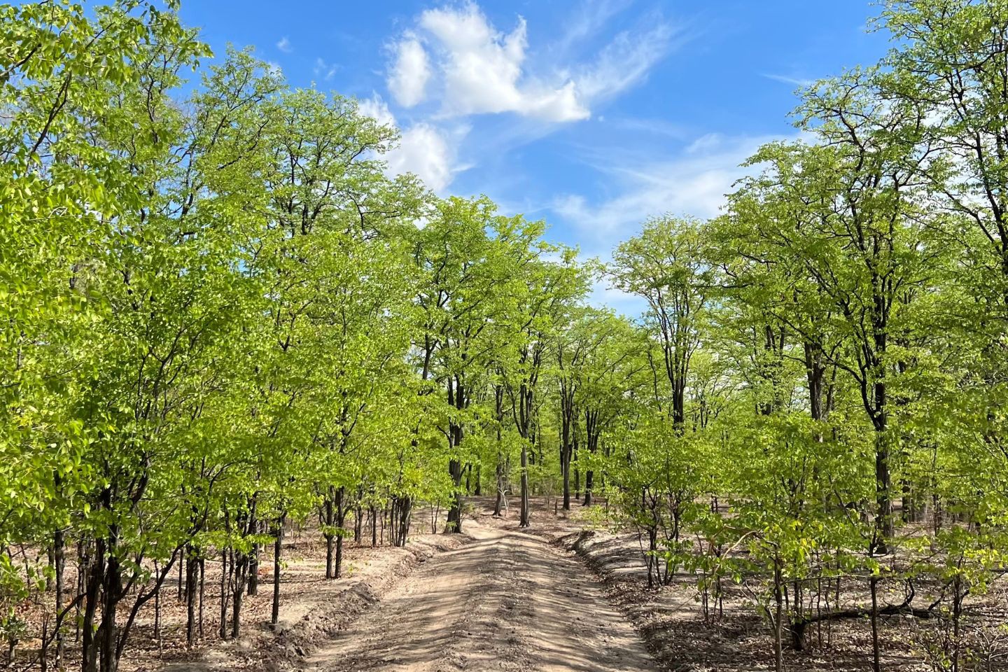 Liwonde Nationaal Park