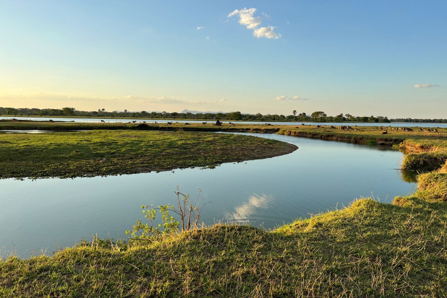 Liwonde Nationaal Park