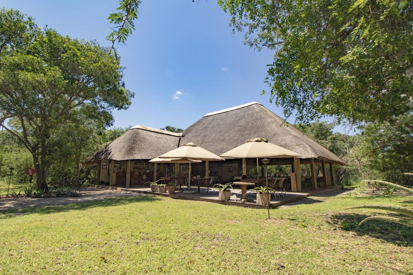 Tembe Elephant Lodge