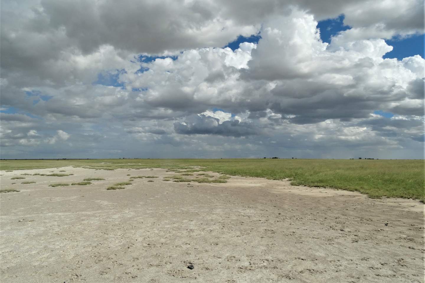 Makgadikgadi en Nxai Pans National Park