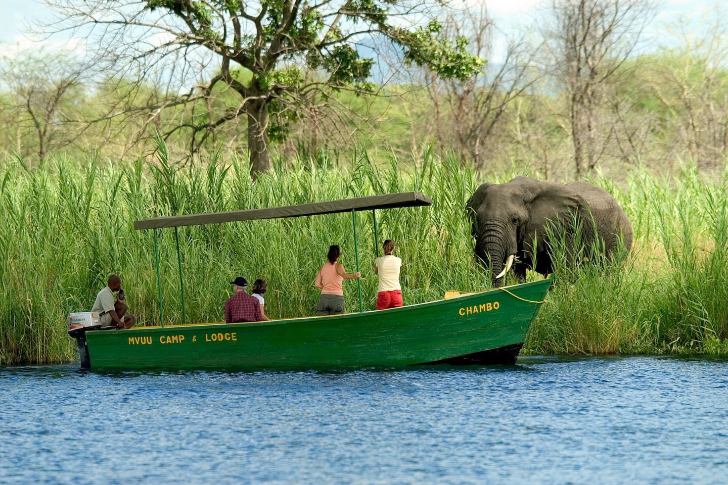 Afbeelding van Malawi Highlights Liwonde Shire River Boat Safari Dana Allen Cape