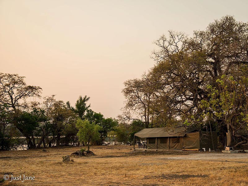 Afbeelding van Mapunga Bush Camp Just Jane 5