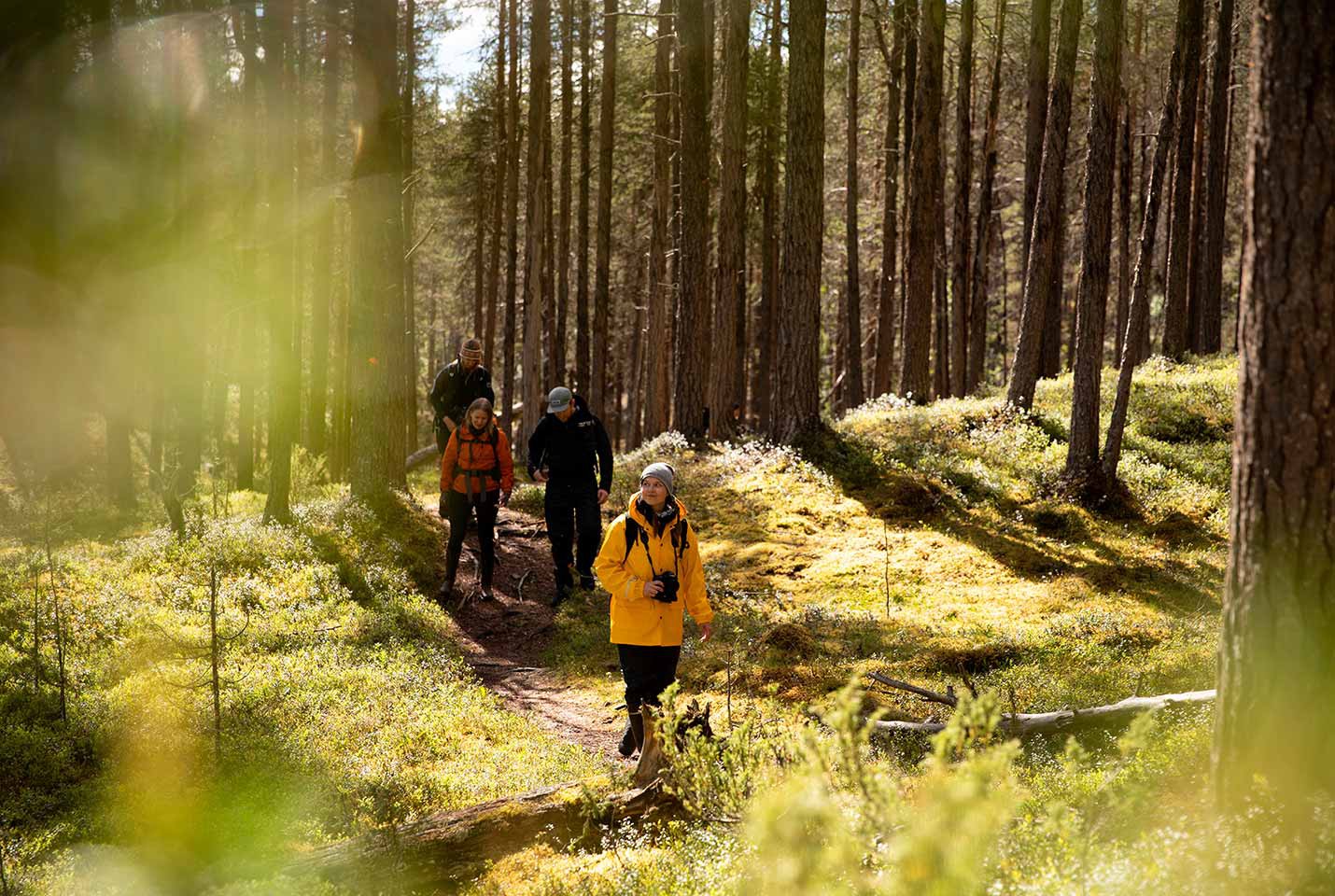 Afbeelding van Melena Finland Lapland Inari