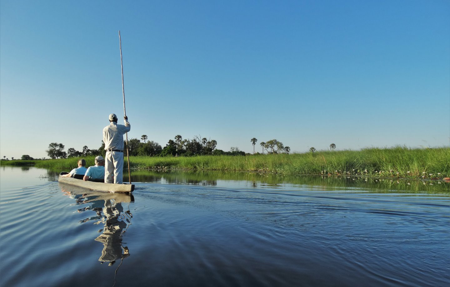 Afbeelding van Moremi Mokoro Suid Afrika Reise