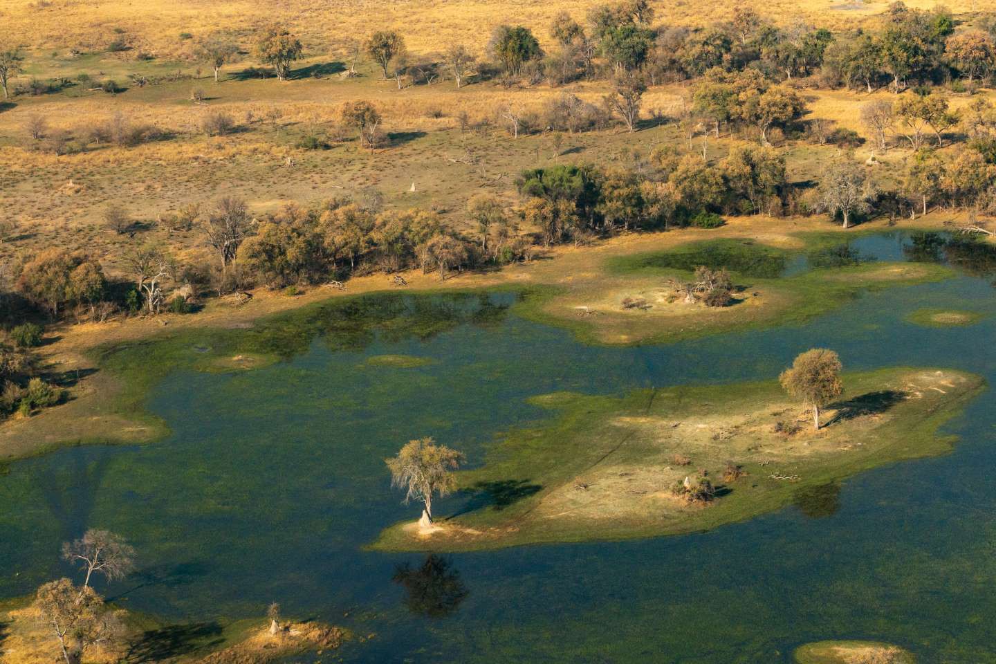 Okavango Delta