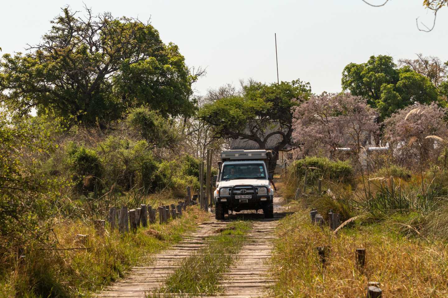 Afbeelding van Moremi Wegen Auto Suid Afrika Reise Ramon Lucas