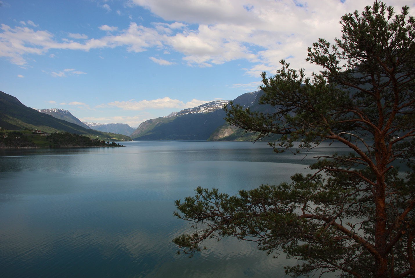 Afbeelding van Njord Lusterfjord Ramon Lucas