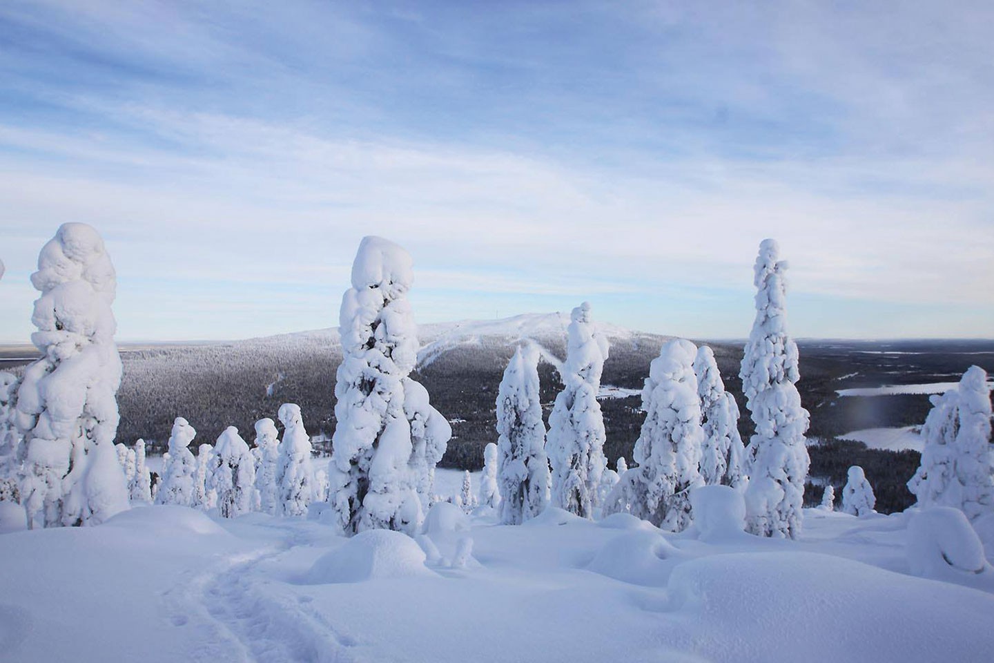 Afbeelding van Noorderlichtreis Finland Fynn Levi Hullo Poro 1