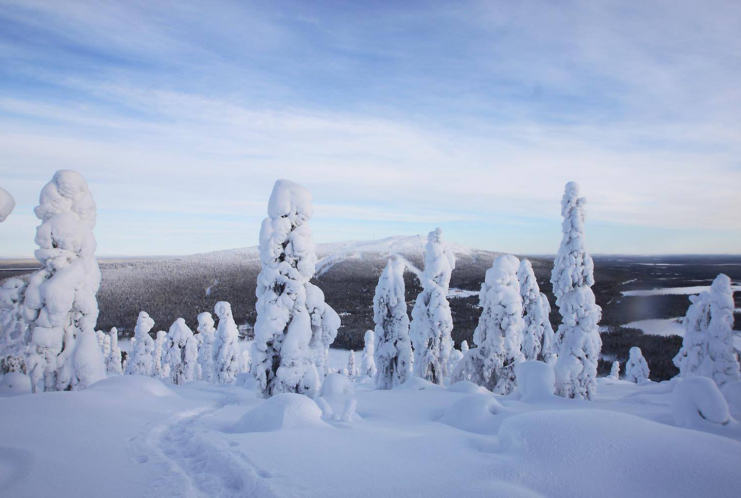 Noorderlichtreis Finland Fynn Levi Hullo Poro 1 Afbeelding van Noorderlichtreis Finland Fynn Levi Hullo Poro 1