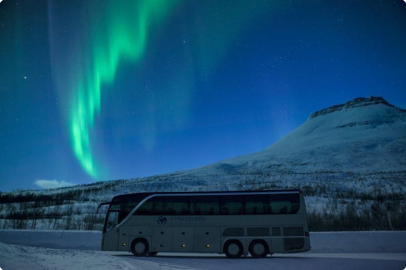 Afbeelding van Noorderlichtsafari Tromso