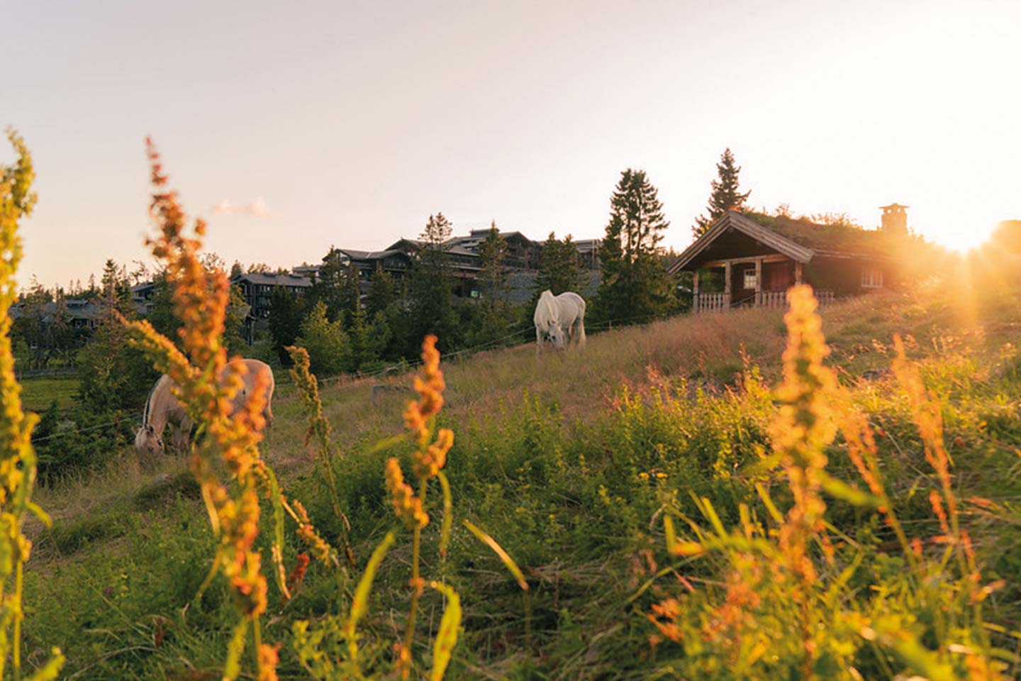 Norefjell, Norefjell Ski & Spa