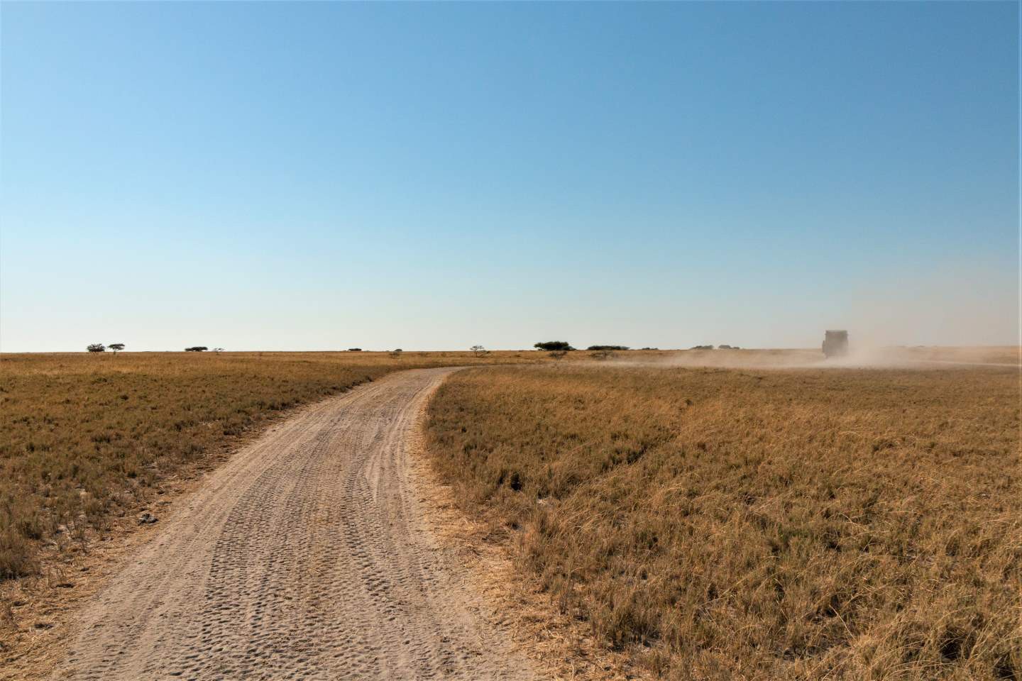 Makgadikgadi en Nxai Pans National Park