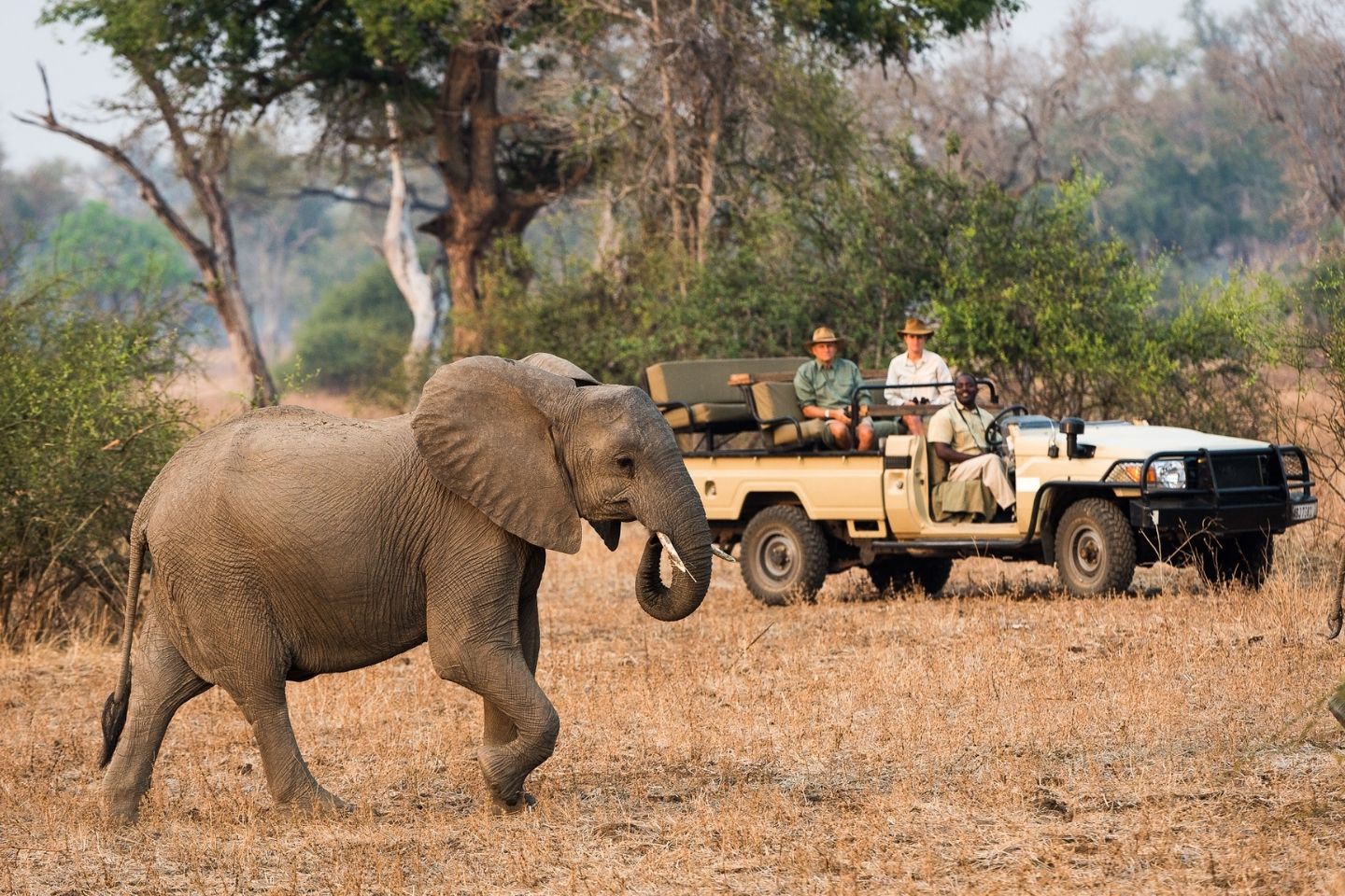 Nkwali Camp - South Luangwa NP