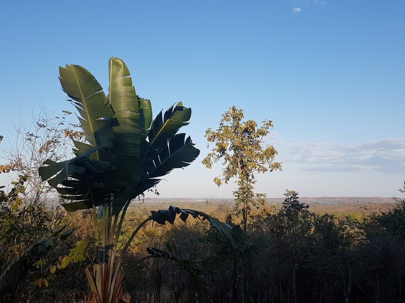 Olympe de Bemaraha bij de Tsingy de Bemaraha NP