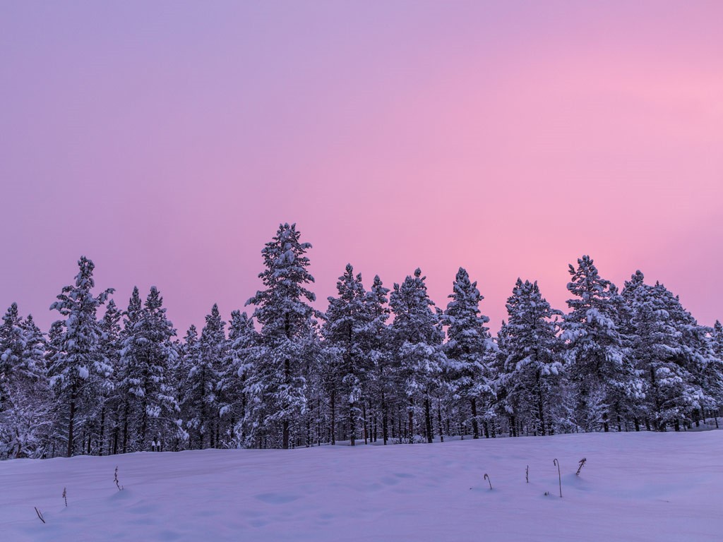 Afbeelding van Overige Winteractiviteiten Noorwegen
