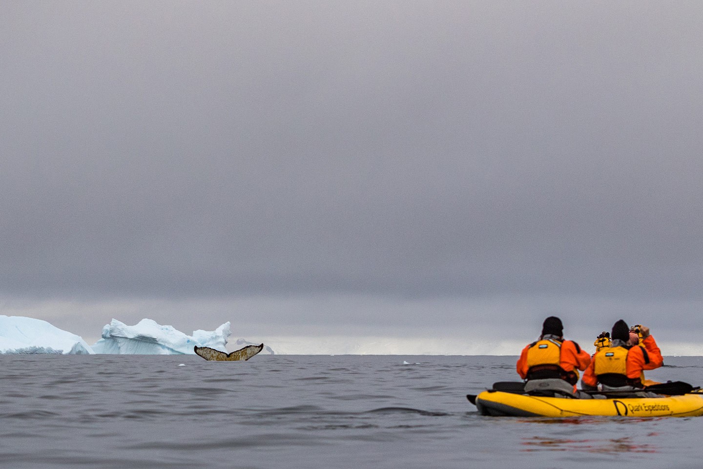 Peddelen Antarctica