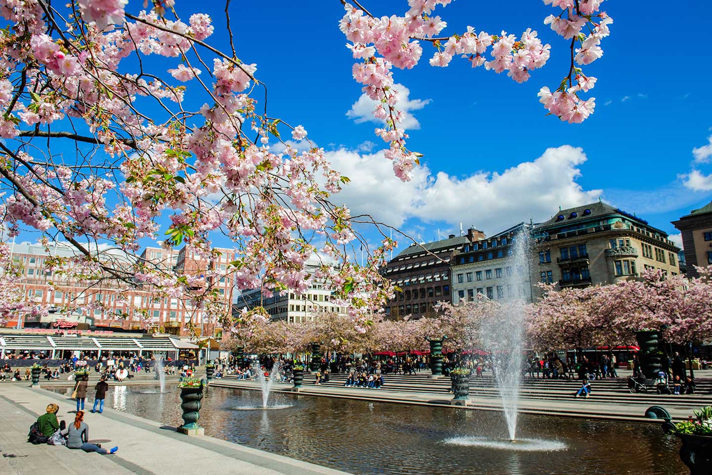 Afbeelding van Petter Lola Akinmade Akerstrom Cherry Bloom In Stockholm