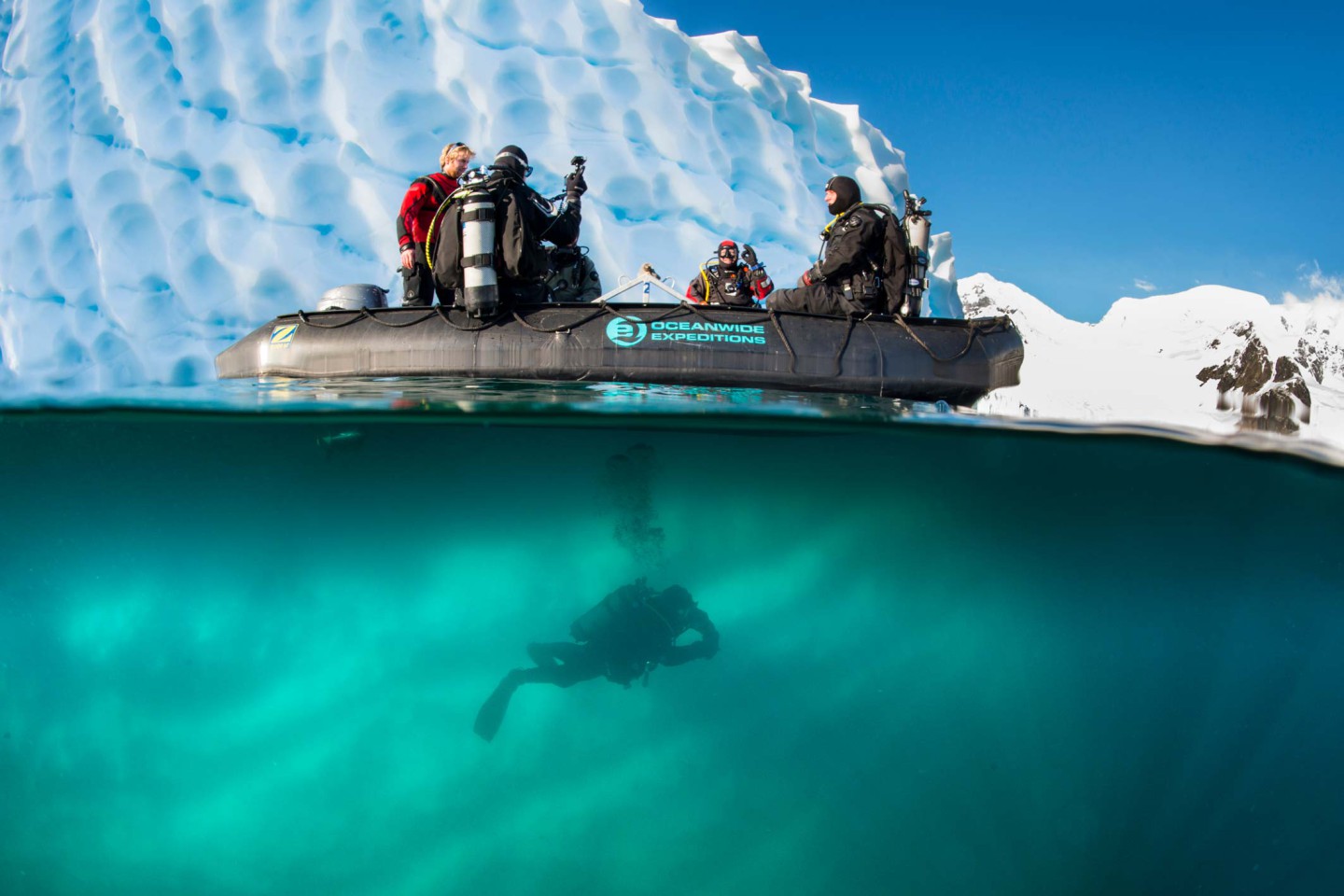 Afbeelding van Poolduiken Antarctica Peter De Maagt Oceanwide Expeditions