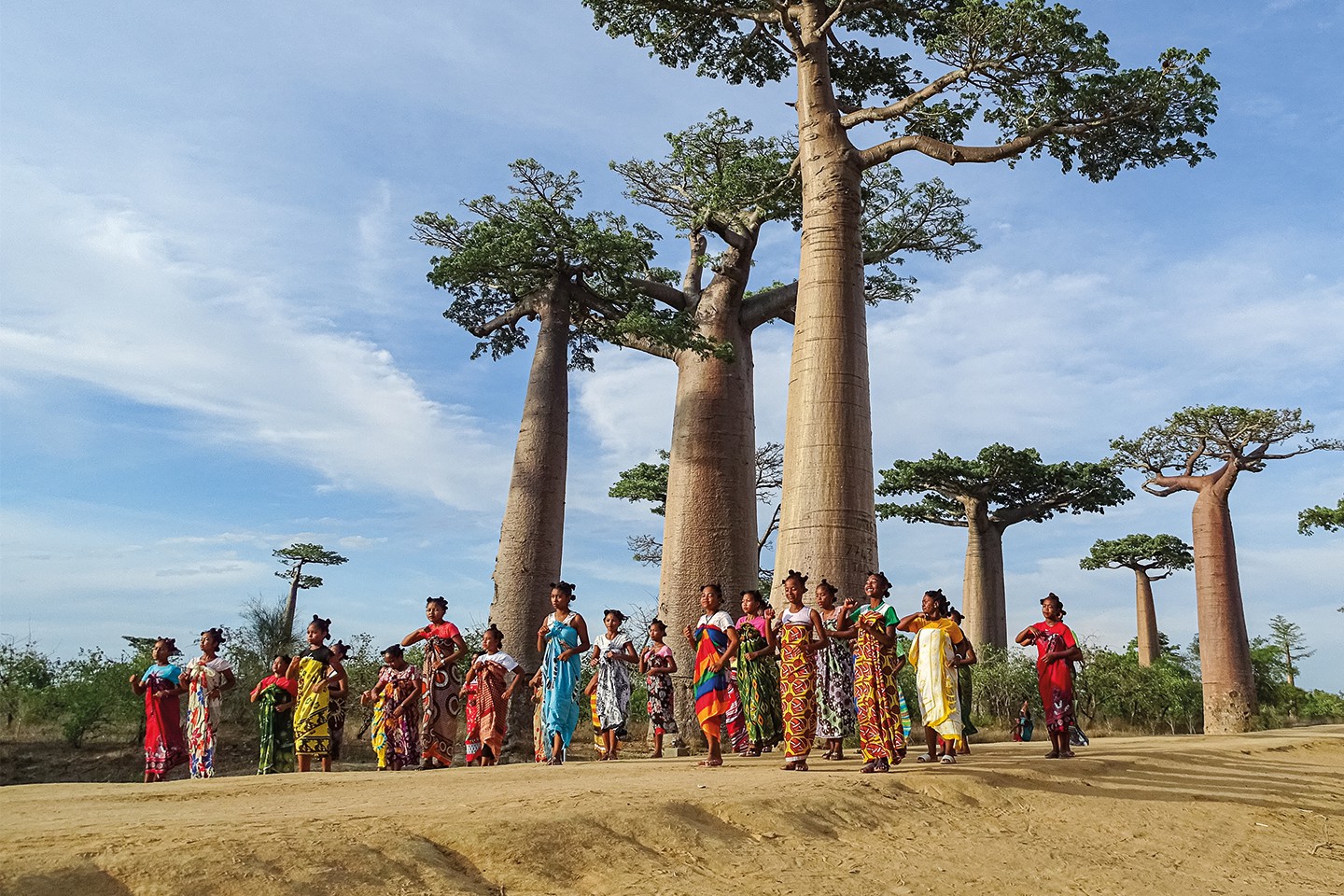 Afbeelding van Privereizen Baobab Allee Douwe Baas