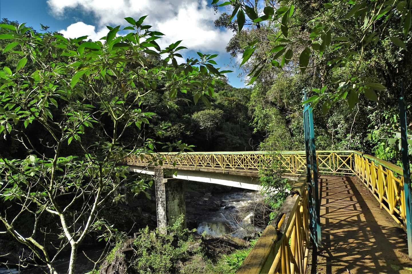 Afbeelding van Ranomafana National Park Brug Rachel Koorn