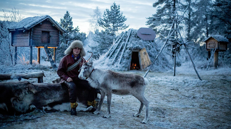 Tavelsjö, Reindeer Ranch