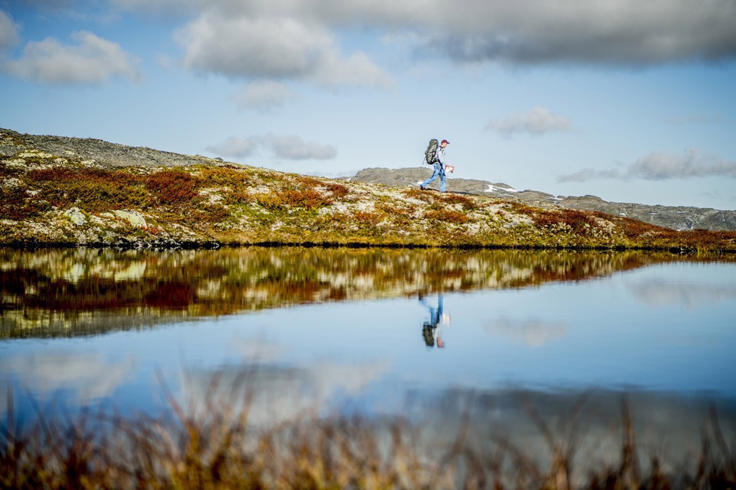 Afbeelding van Reis Rasmus Zuid Zweden Zuid Noorwegen Aurlandsdalen Thomas Rasmus Skaug Visitnorway Com