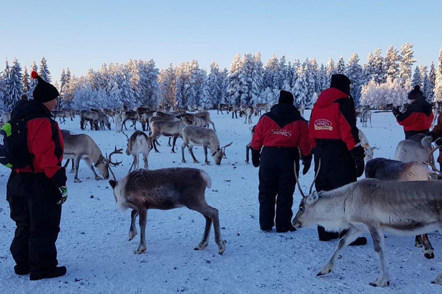 Rendiersafari Ruka