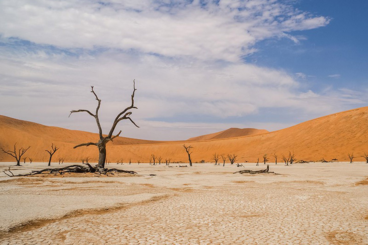 Afbeelding van Rondreizen Namibie Deadvlei Douwe Baas Cape