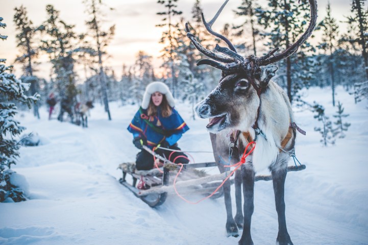 Afbeelding van Samicultuur Zweden Asaf Kliger Sami Eco Tourism 5633