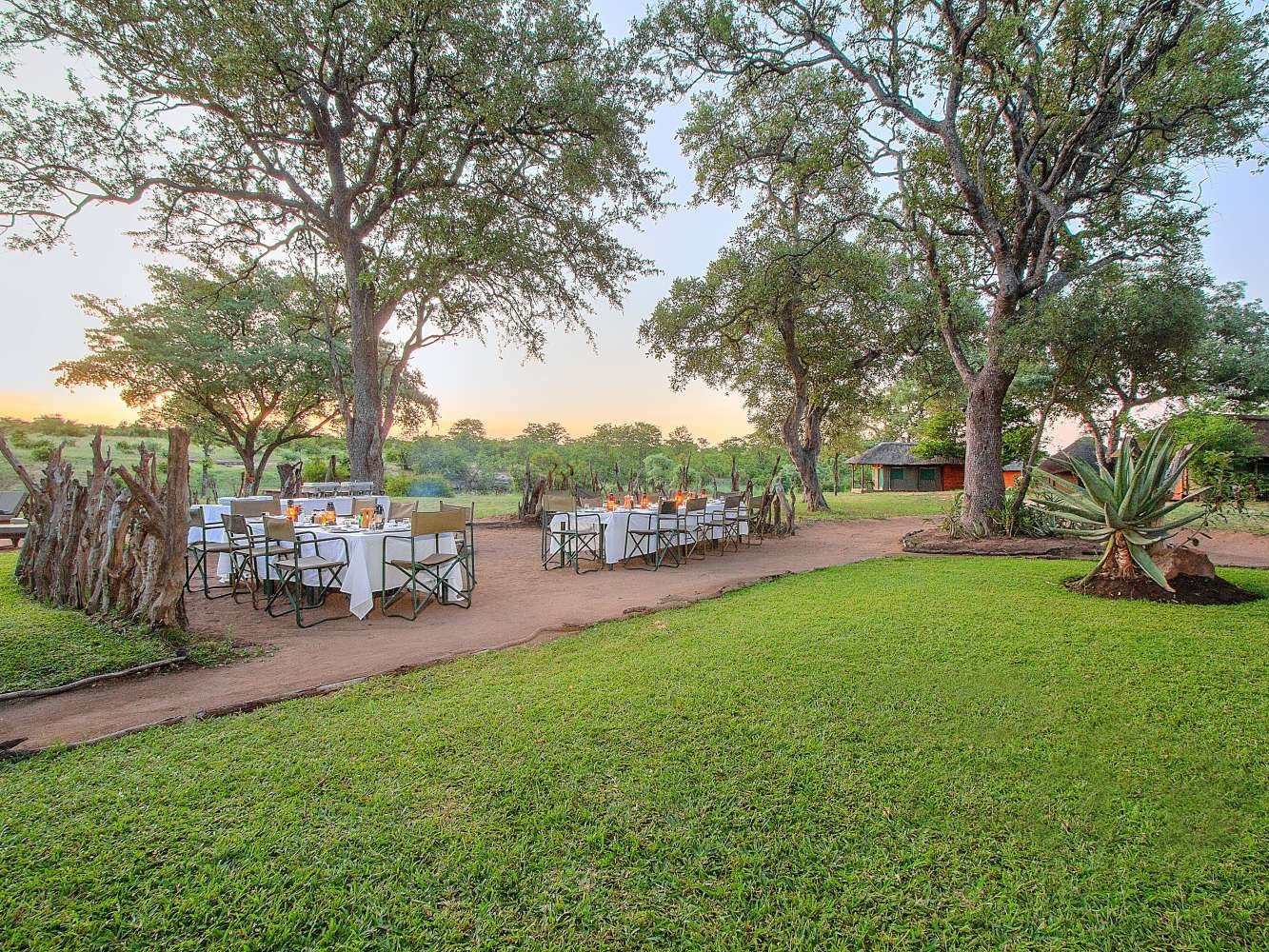 Shindzela Safari Camp - Timbavati