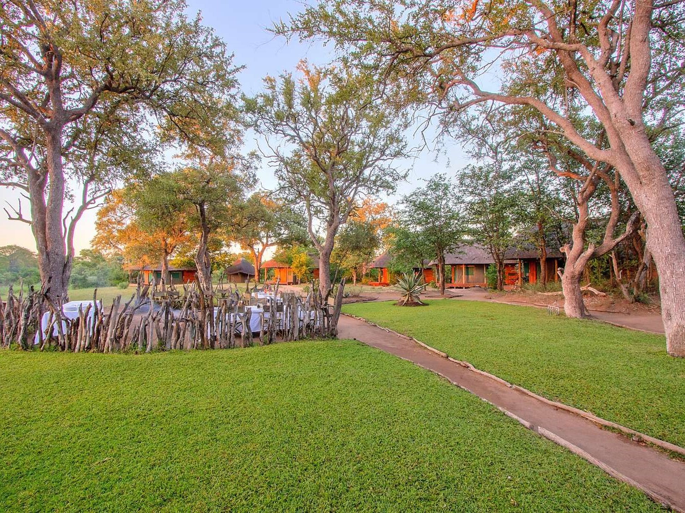 Shindzela Safari Camp - Timbavati